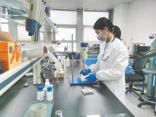 南宁市聚力政策落实与科技研发，赋能民营经济高质量发展